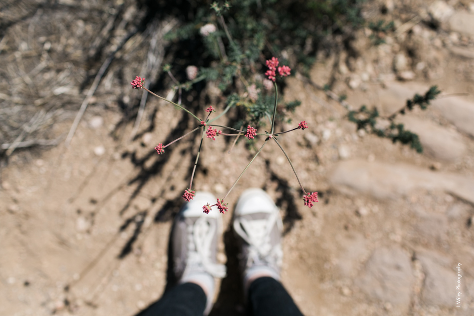vasquez rocks desert wedding photographer-1018