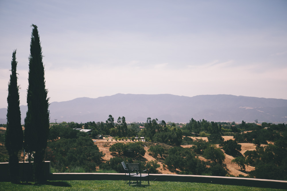 santa barbara wedding photographer gainey vineyard wedding reception saint barbara greek orthodox los angeles winery -1003