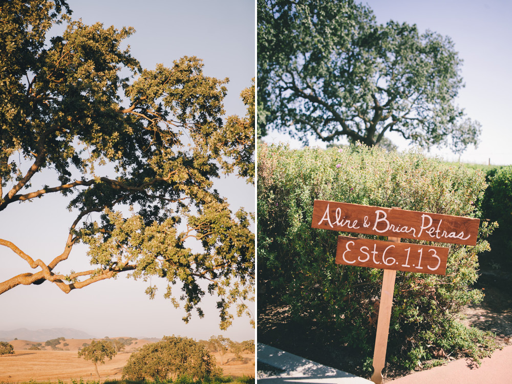 santa barbara wedding photographer gainey vineyard wedding reception saint barbara greek orthodox los angeles winery -162