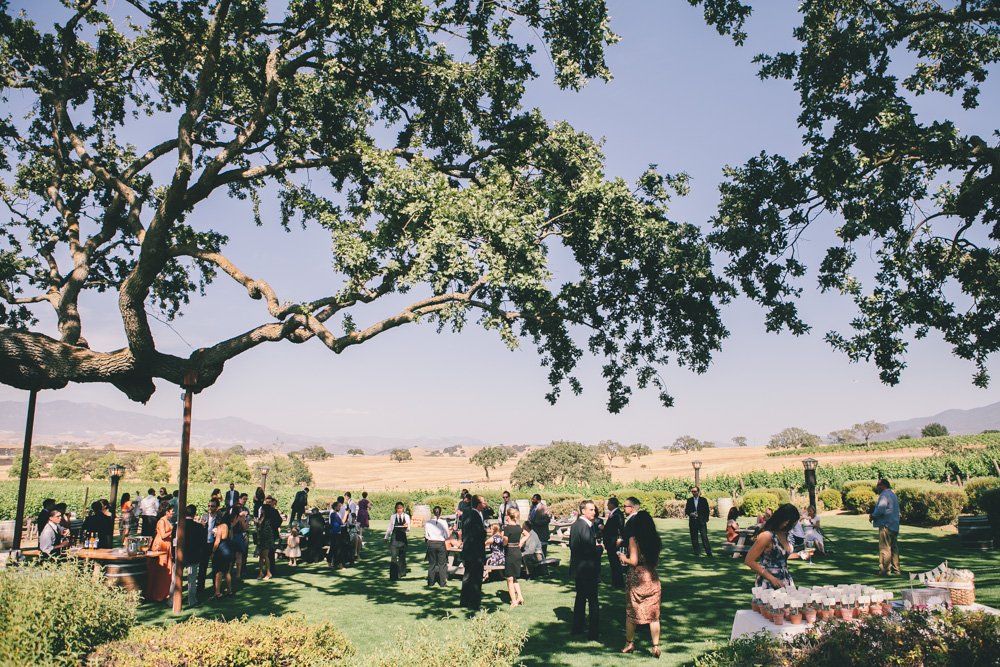 santa barbara wedding photographer gainey vineyard wedding reception saint barbara greek orthodox los angeles winery -1670