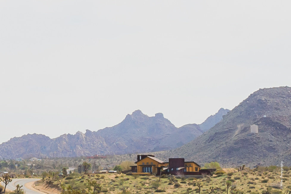 Joshua Tree Wedding Photographer desert Elopement photographer same sex wedding photographer marriage equality sacred sands indie diy offbeat candid -9054