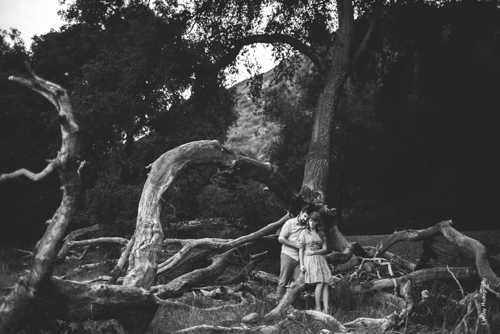 malibu engagement photography los angeles wedding photographer candid indie field mountains wildflowers-1195