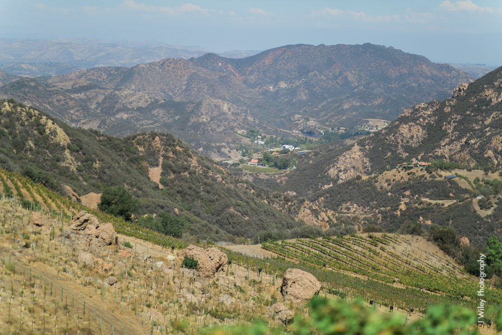 j wiley rustic whimiscal saddlerock ranch vineyard wedding malibu neutral gold mountains-1006