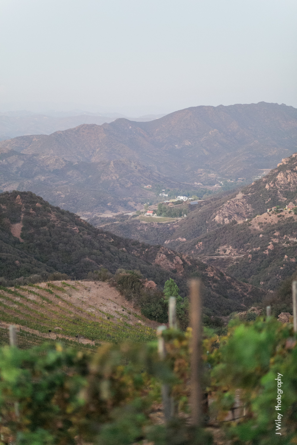 j wiley rustic whimiscal saddlerock ranch vineyard wedding malibu neutral gold mountains-1499