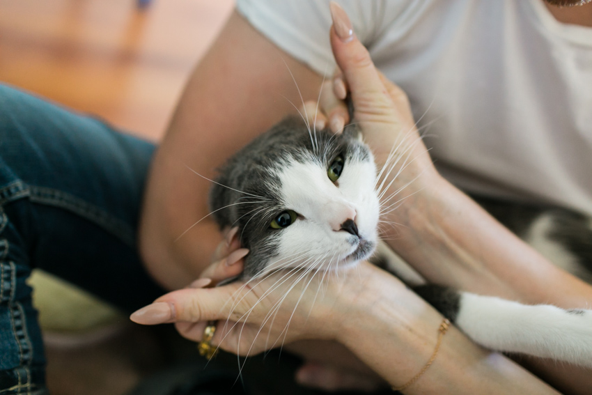 home engagement session los angeles hipster wedding photographer-J Wiley Photography-2124